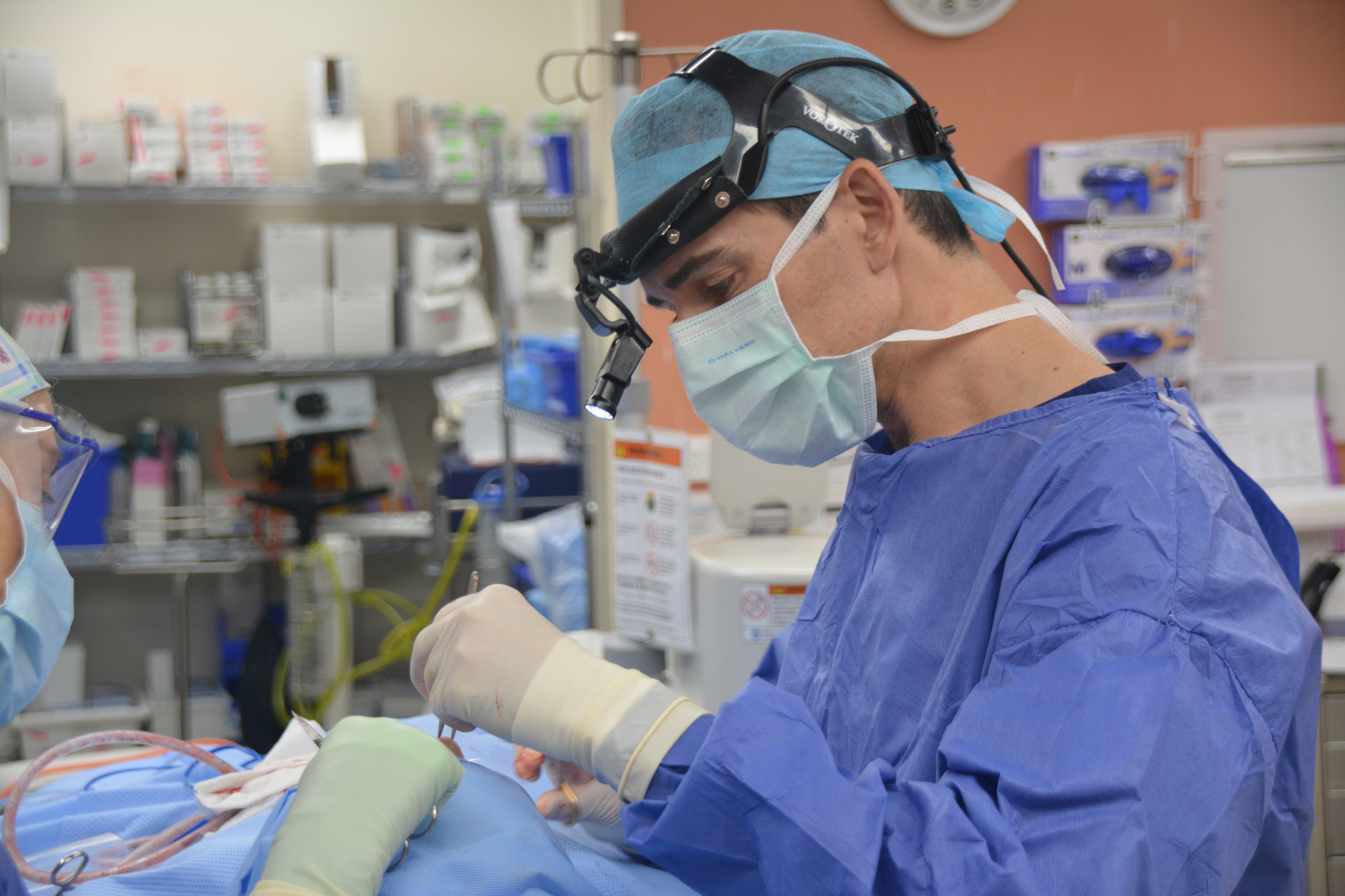 Dr Jason Roth — Rhinoplasty Surgery Sydney